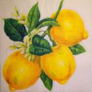 109 Lemons,  Oranges - 3-ply (weiß)